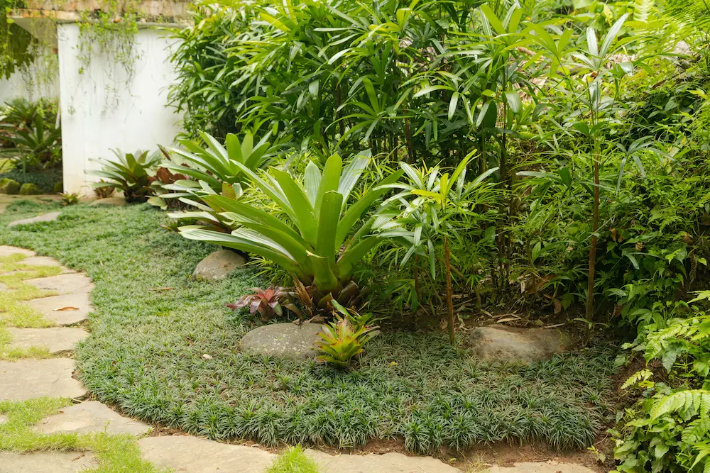 residential cleaning